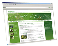 world-of-ferns.co.uk